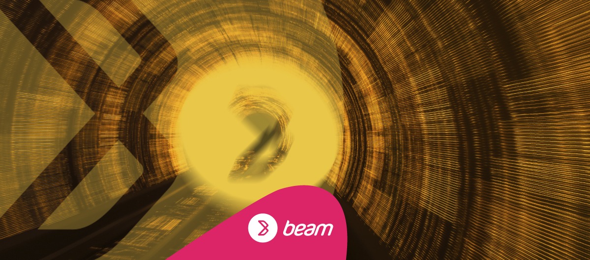 The Empty Future Without Beam Wallet: A Deprived World of Efficiency and Innovation